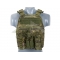 Plate Carrier Multi-Mission