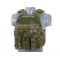 Plate Carrier Multi-Mission