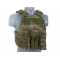 Plate Carrier Multi-Mission