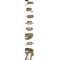 MRB Belt