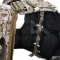 NC PLATE CARRIER